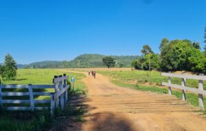 Caminho do Mosteiro_1