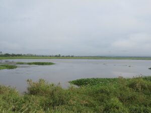 WhatsApp Image 2025-11-18 at 22.21.59