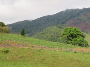 WhatsApp Image 2025-11-18 at 22.42.07